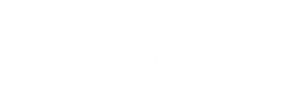 VmWare ESXI